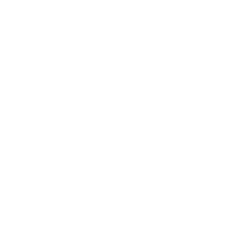 logo firmy pineaddle