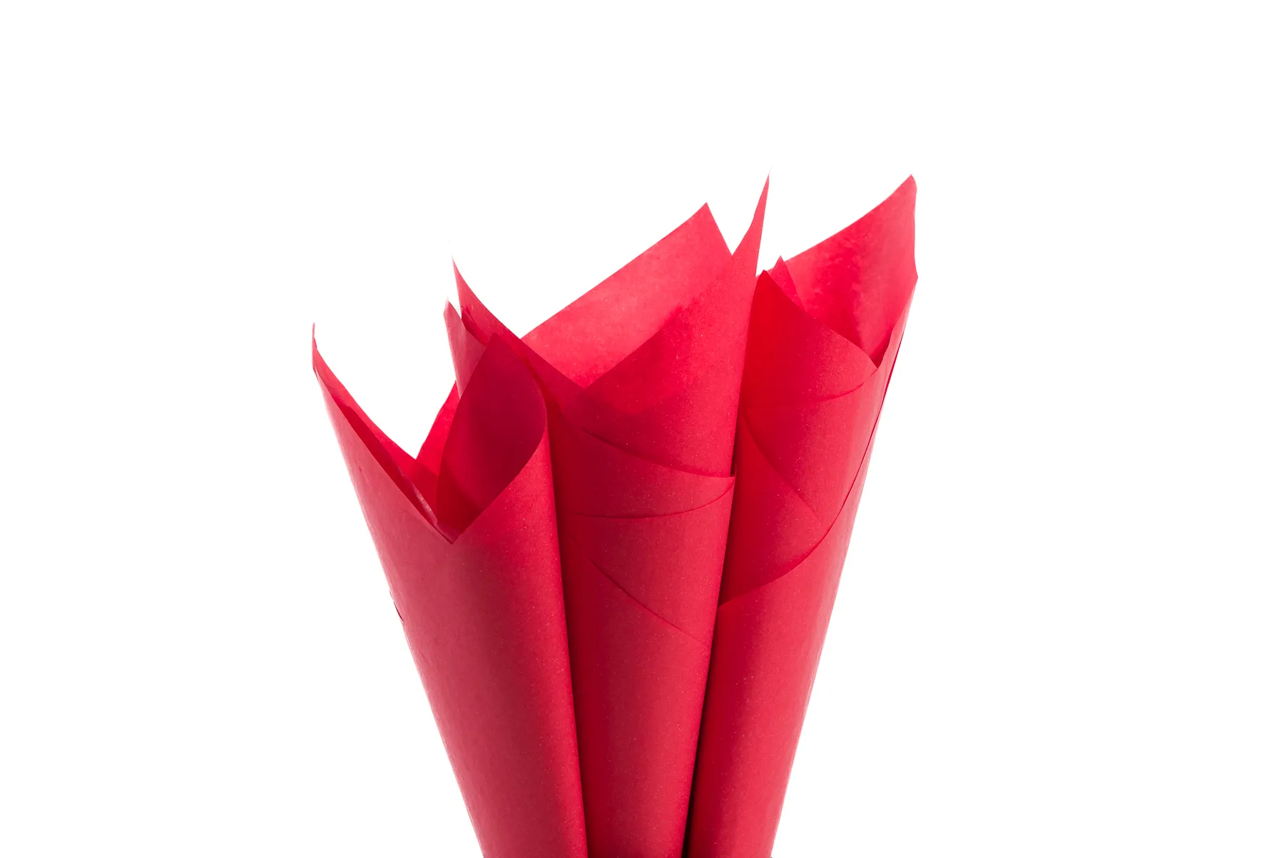 portfolio_packshot_1_2024-2